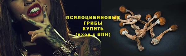 стафф Каменка