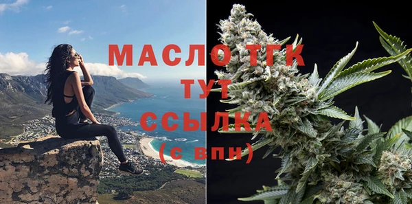 стафф Каменка