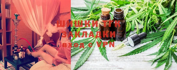стафф Каменка