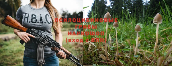 стафф Каменка