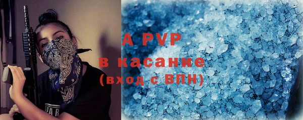 стафф Каменка