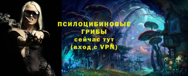 стафф Каменка
