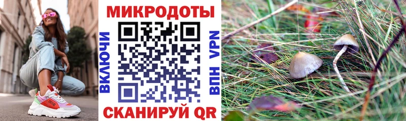 Галлюциногенные грибы ЛСД  Купить где  Геленджик 